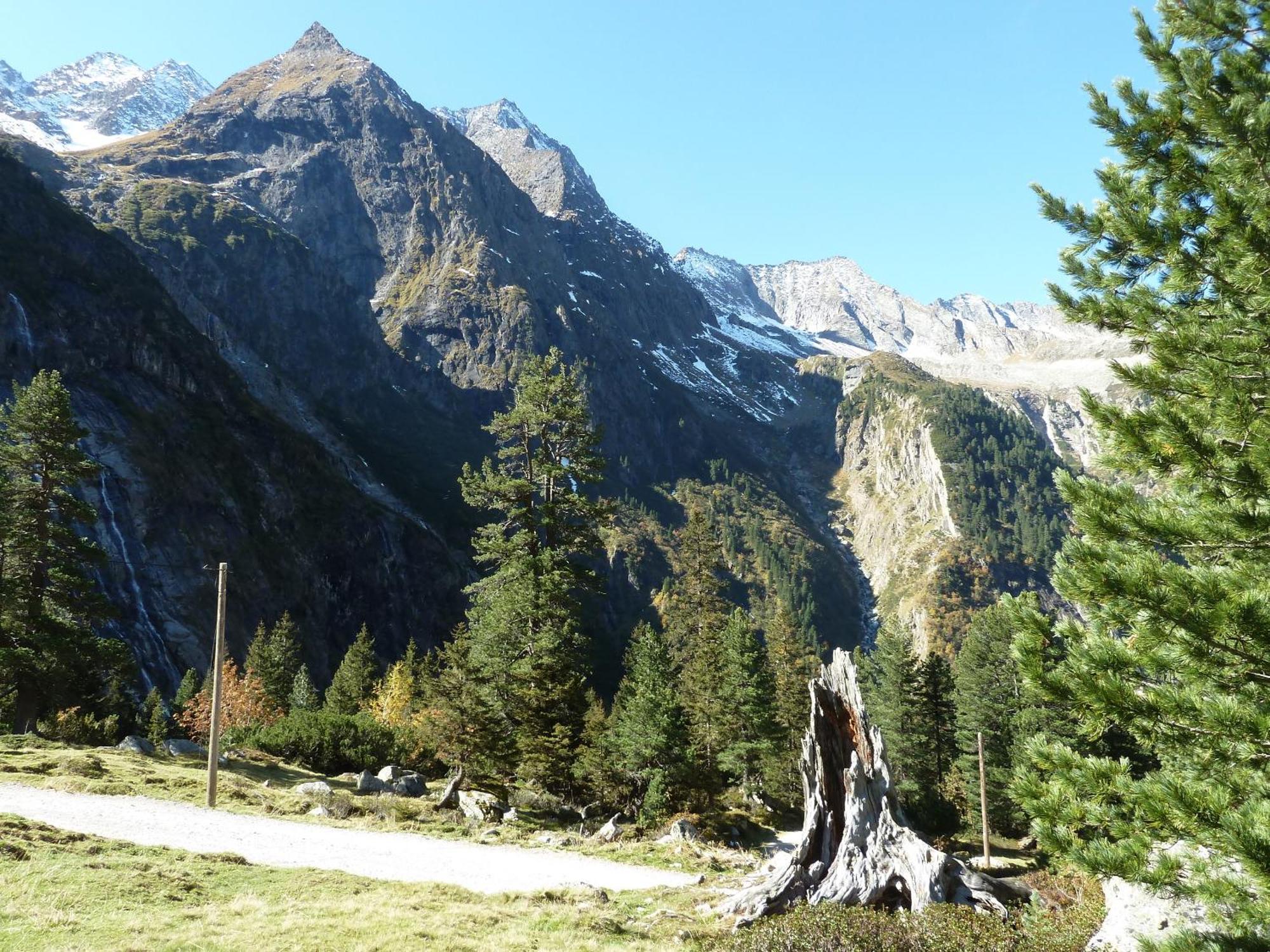 Hotel Gasthaus Schwarzenstein Гинслинг Екстериор снимка